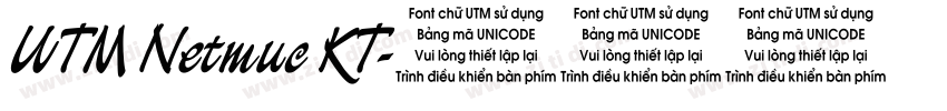 UTM Netmuc KT字体转换